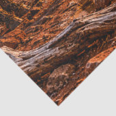 Decoupage Australische Outback Paard Waterbron  Tissuepapier (Detail)