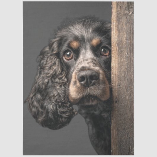Decoupage Black Brown Cocker Spaniel Sadie Tissuepapier (Voorkant)