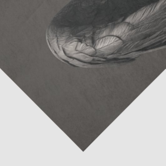 Decoupage Black Crow Satin Suit Charismatisch Tissuepapier (Detail)