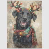 Decoupage Black Lab Christmas Lights Antlers  Tissuepapier (Voorkant)