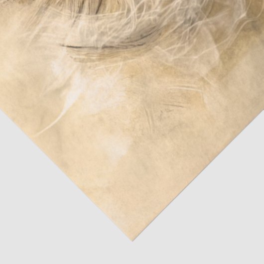 Decoupage boeiende close-up leeuwen gezicht tissuepapier (Detail)