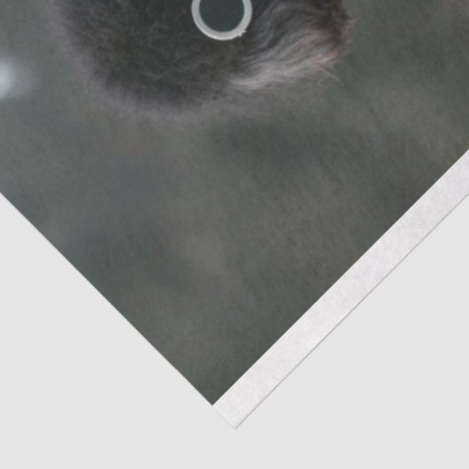 Decoupage Boho Hippie Standaard Poedels Tissuepapier (Detail)