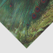 Decoupage Bos Koninklijke Pauw  Tissuepapier (Detail)