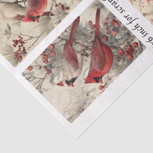 Decoupage Cardinal Panels 4x6" & 4 Designs Tissuepapier (Detail)