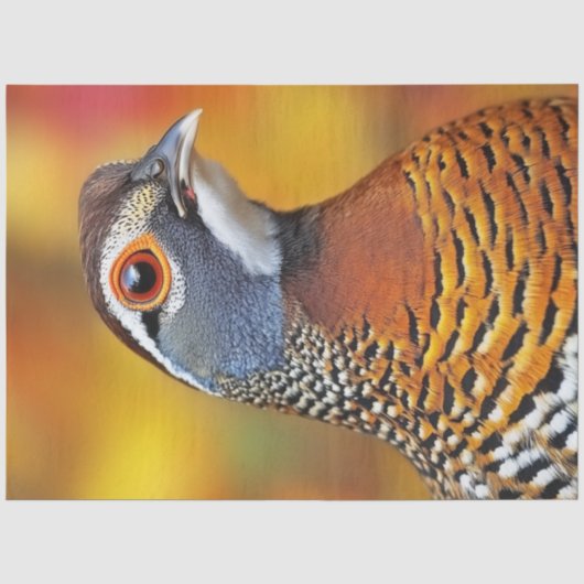 Decoupage Chestnut Bellied Partridge Bird Tissuepapier (Voorkant)