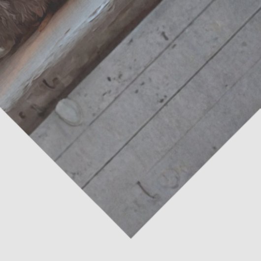 Decoupage Chicken Shenanigans Tissue Humor Tissuepapier (Detail)