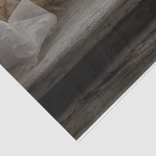 Decoupage Chicken Window Seat Tissue Humor  Tissuepapier (Detail)