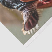 Decoupage Close Up Hippo Grote Rode Bril Tissuepapier (Detail)