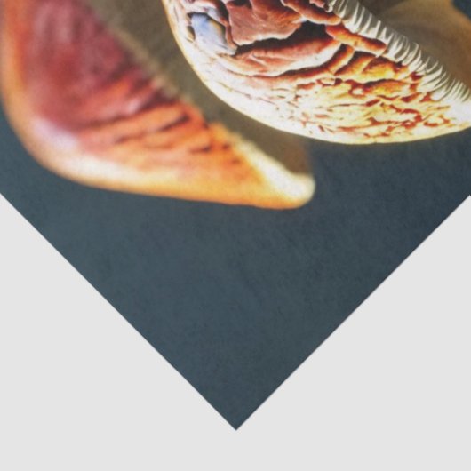 Decoupage Cluster Vibrant Mushrooms Tissuepapier (Detail)