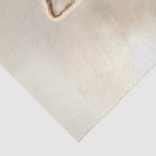 Decoupage Country Fox Riding Skateboard Tissuepapier (Detail)