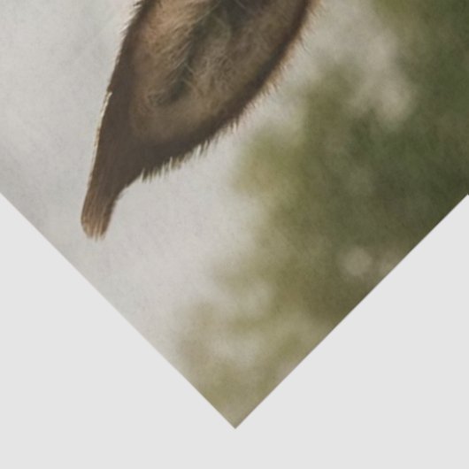 Decoupage Countryside Donkey Red Barn  Tissuepapier (Detail)