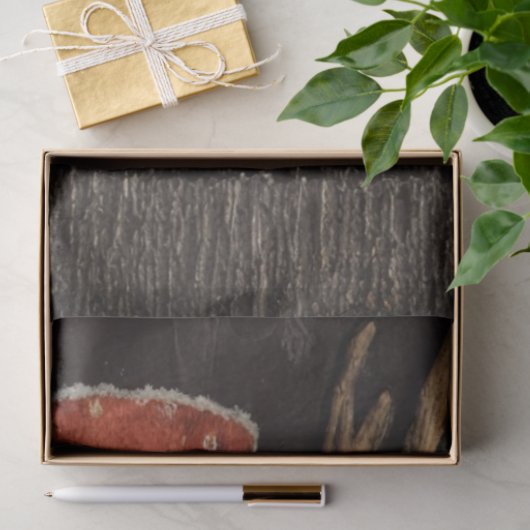 Decoupage Cowboy Santa & Rudolph Peeking  Tissuepapier (Geschenk)