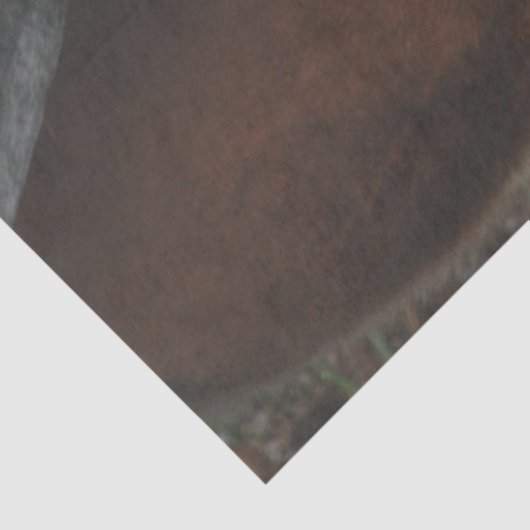 Decoupage Customizable Humorous Horse Print Tissuepapier (Detail)