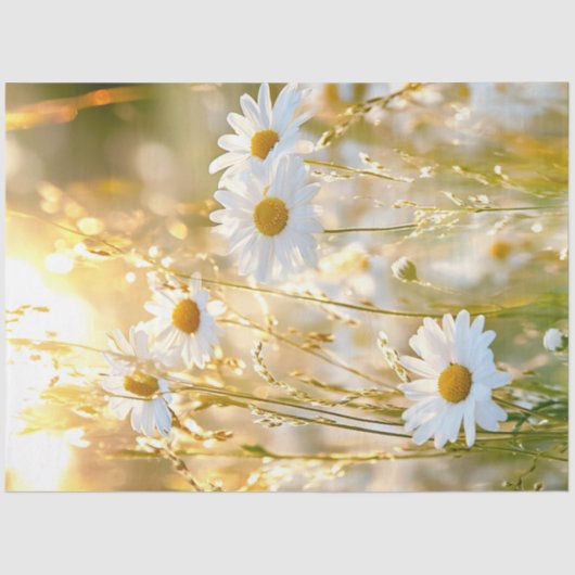 Decoupage Daisy Bright White & Yellow Field Flower Tissuepapier (Voorkant)