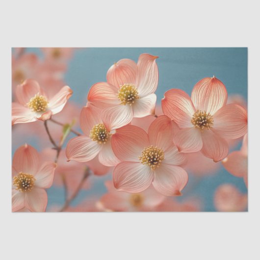 Decoupage Delicate Peach Dogwood Flowers Tissuepapier (Voorkant)