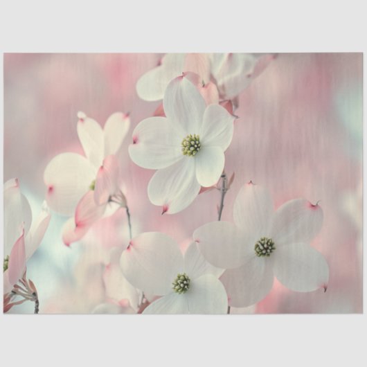 Decoupage Delicate Pink Dogwood Flowers Tissuepapier (Voorkant)