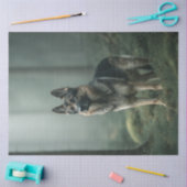 Decoupage Duitse herder in mistig bos Tissuepapier (Craft)
