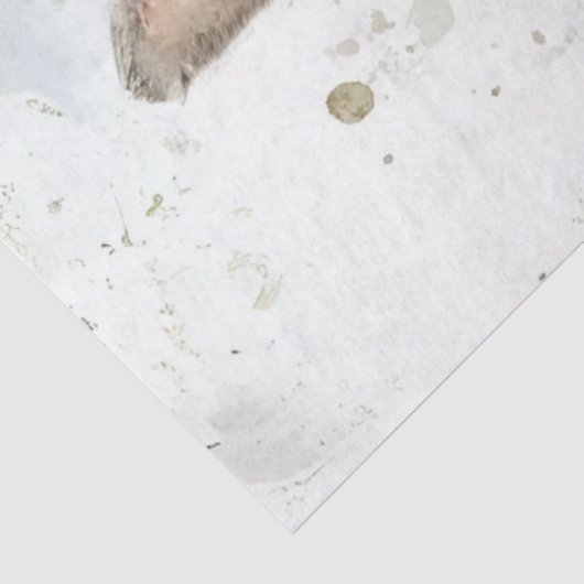 Decoupage Easter Rabbit Waterverf Achtergrond Tissuepapier (Detail)