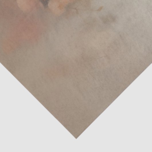 Decoupage Elegante Huwelijksbruid Ingewikkelde Huw Tissuepapier (Detail)