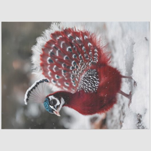 Decoupage Exotische Rode Kerstvogel Tissuepapier (Voorkant)