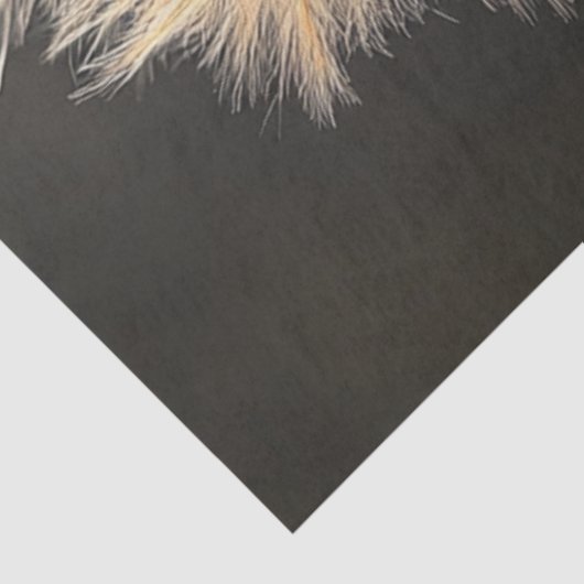 Decoupage Fluffy Bright Sinaasappel Bird Tissuepapier (Detail)