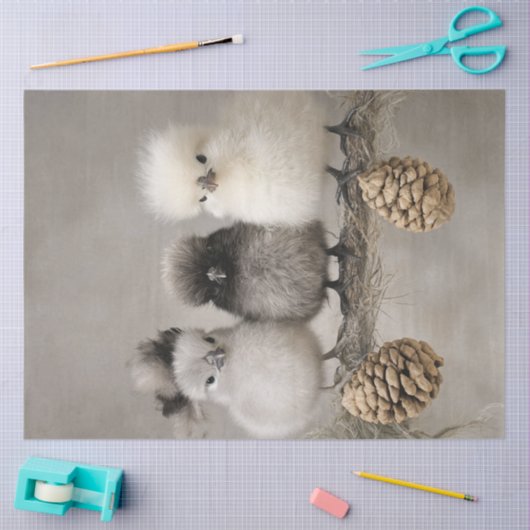 Decoupage Fluffy Chicks op een Branch Tissuepapier (Craft)