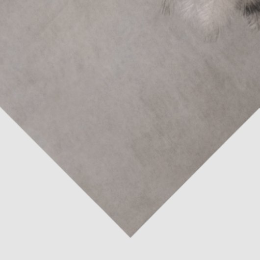 Decoupage Fluffy Chicks op een Branch Tissuepapier (Detail)