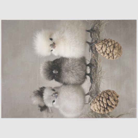 Decoupage Fluffy Chicks op een Branch Tissuepapier (Voorkant)