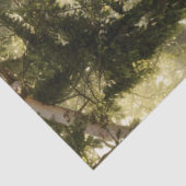 Decoupage Forest Chapel Gothic Sprookje Tissuepapier (Detail)