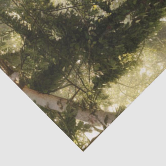 Decoupage Forest Chapel Gothic Sprookje Tissuepapier (Detail)