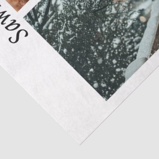 Decoupage Fox Forest Scenes Handsaw Panels  Tissuepapier (Detail)