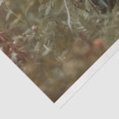 Decoupage Franse katten in een bloemenveld Tissuepapier (Detail)