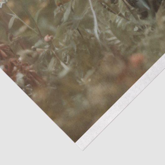 Decoupage Franse katten in een bloemenveld Tissuepapier (Detail)