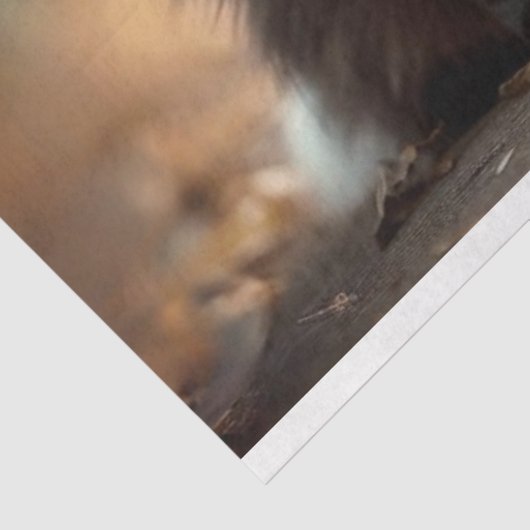 Decoupage Franse katten Mystique & Hertogin Tissuepapier (Detail)