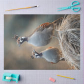 Decoupage Gamble's Quail unieke veren patronen Tissuepapier (Craft)