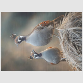 Decoupage Gamble's Quail unieke veren patronen Tissuepapier