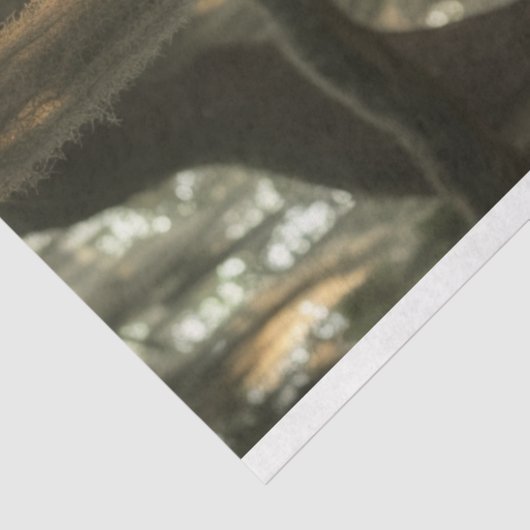 Decoupage  Gele Auto Mooie Vrouw Tissuepapier (Detail)