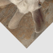 Decoupage Goat Rustic Farm 18x24 Canvas  Tissuepapier (Detail)