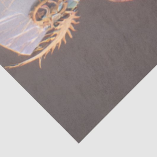 Decoupage Gothic Skeleton Prism Bones Tissuepapier (Detail)