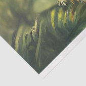 Decoupage grillige Conure papegaaien levendige kle Tissuepapier (Detail)