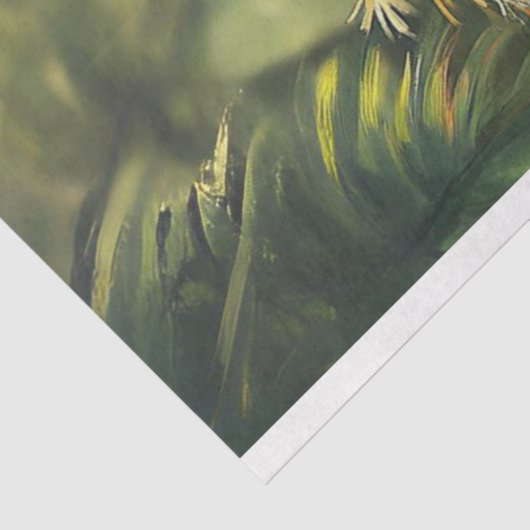 Decoupage grillige Conure papegaaien levendige kle Tissuepapier (Detail)