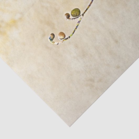 Decoupage grillige gekleurde fee vlinder vleugels tissuepapier (Detail)