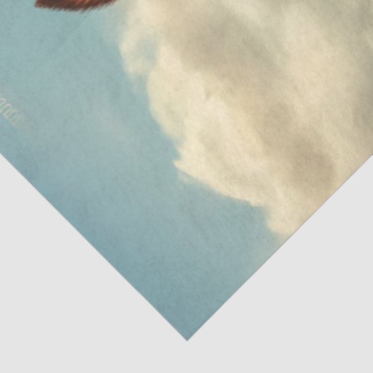 Decoupage grillige grappige dierlijke pose tissuepapier (Detail)