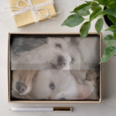 Decoupage grillige katten en honden hartverwarmend tissuepapier (Geschenk)