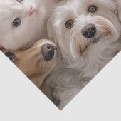 Decoupage grillige katten en honden hartverwarmend tissuepapier (Detail)