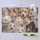 Decoupage grillige katten en honden hartverwarmend tissuepapier (Craft)