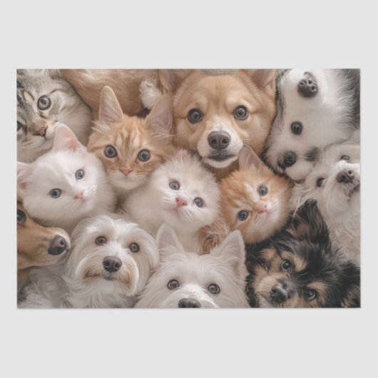 Decoupage grillige katten en honden hartverwarmend tissuepapier (Voorkant)