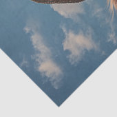 Decoupage grillige Koe Gezicht & Pet Tissuepapier (Detail)