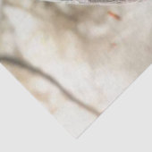 Decoupage grillige wasbeer Robyn Hood van het bos Tissuepapier (Detail)