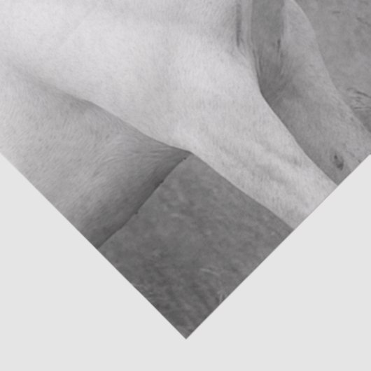 Decoupage grillige zwart witte paarden interactie tissuepapier (Detail)